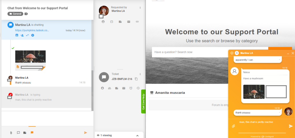 LiveAgent - visualização de digitação em tempo real