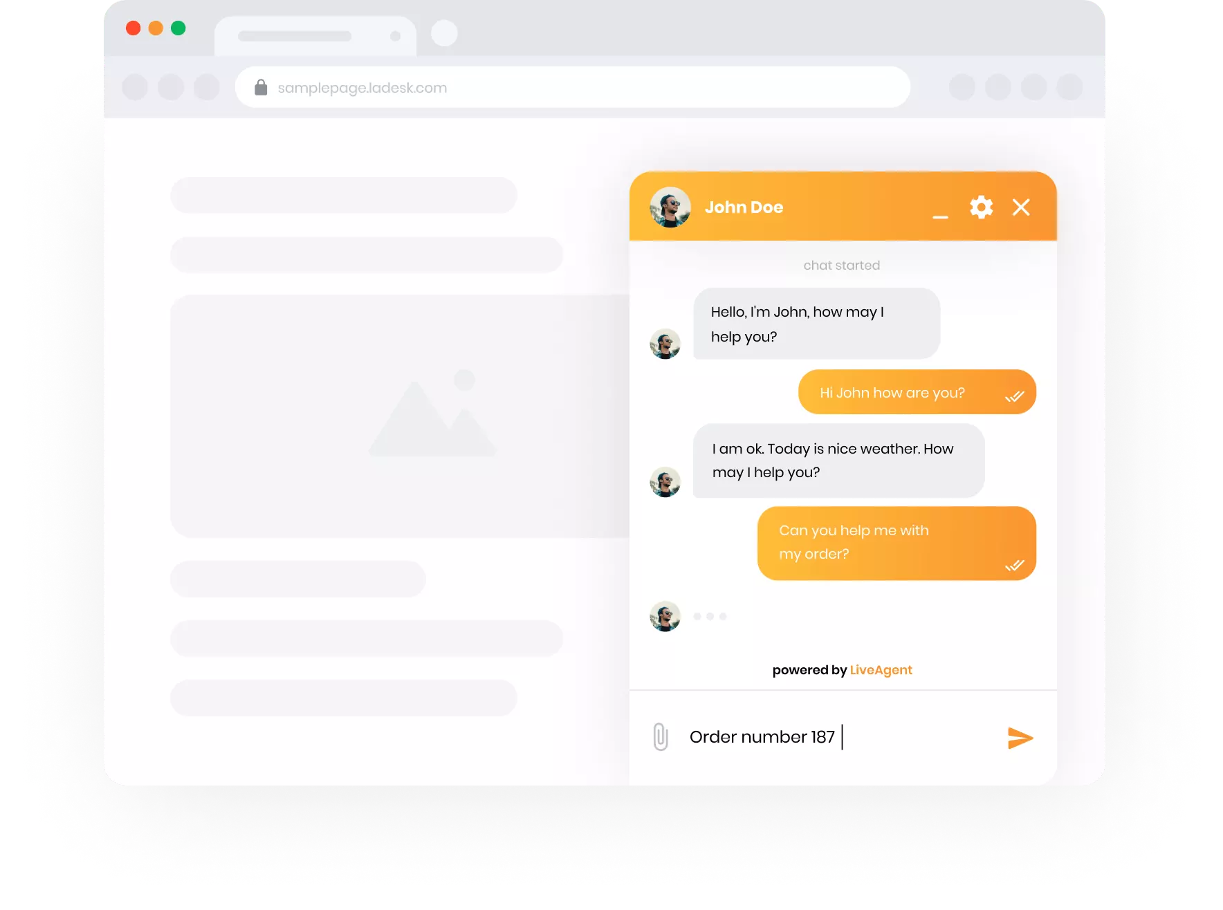 Visualização de chat ao vivo do LiveAgent