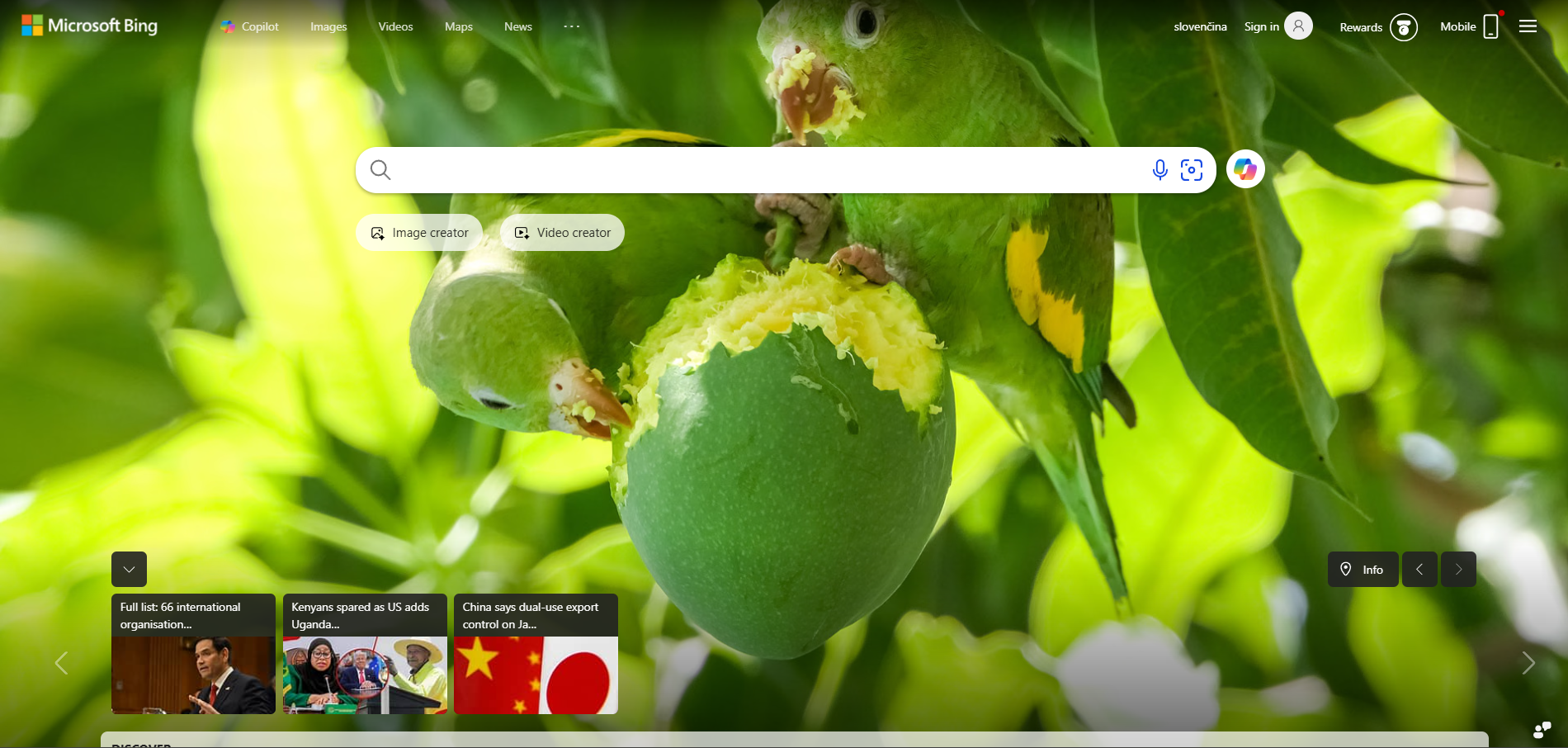 Contatos do Help Desk do Bing