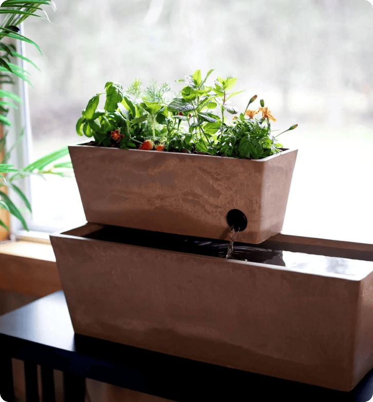 Como AquaSprouts alcança taxa de satisfação do cliente de 96,5% com LiveAgent