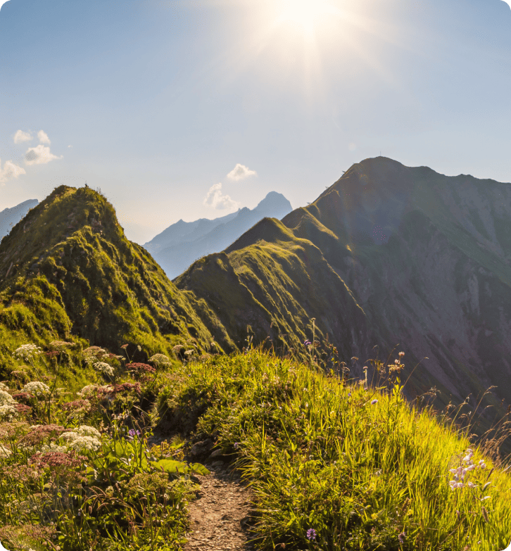 Como a ZlavaDna melhorou o atendimento ao cliente com LiveAgent